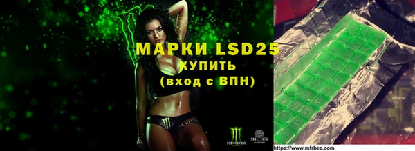 ПСИЛОЦИБИНОВЫЕ ГРИБЫ Белоозёрский