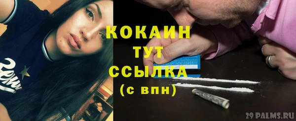 ПСИЛОЦИБИНОВЫЕ ГРИБЫ Белоозёрский
